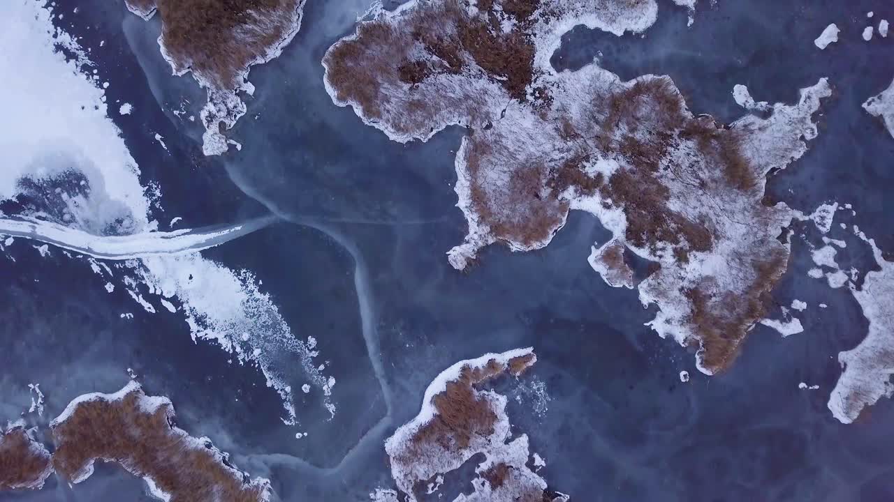 vista aérea de pájaro del lago congelado liepaja durante el invierno, hielo azul con grietas, islas secas de juncos amarillentos, día de invierno nublado, gran tiro de drones avanzando