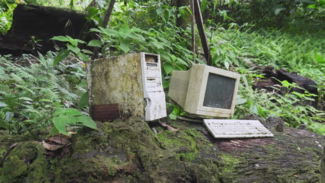 Obsolete-vintage-computer-on-a-log-in-a-lush-green-jungle,-Zoom-In