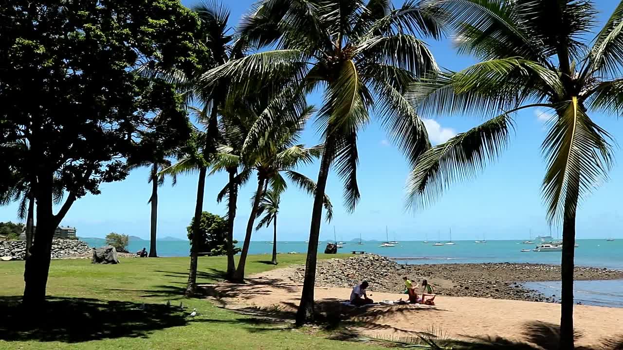 Una playa tropical con palmeras