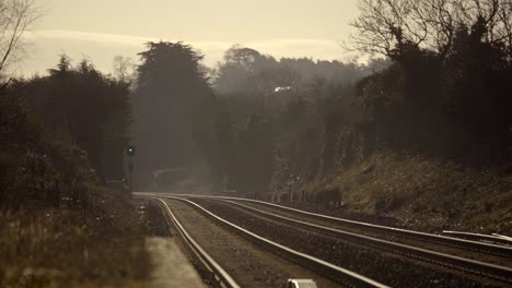 the railway of the train surrounded with plants and trees under the cloudy sky in the northern part of ireland. -wide shot