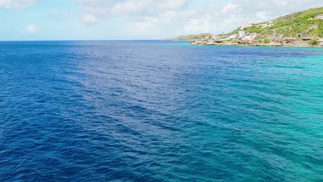 Frigate-bird-dives-into-crystal-clear-water-hunting-for-fish-off-coast-of-Curacao-as-yellowfin-tuna-swims-in-water,-drone-overview