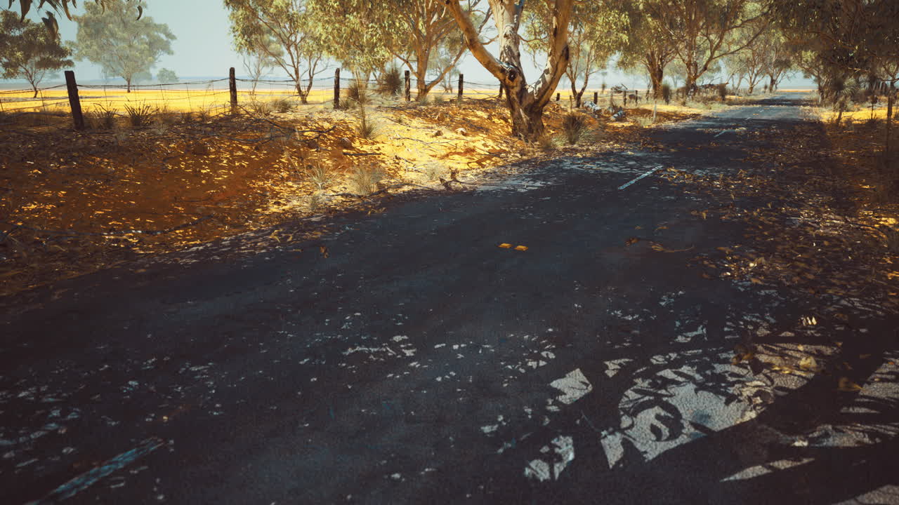 Road surrounded by trees on a sunny day in a rural landscape