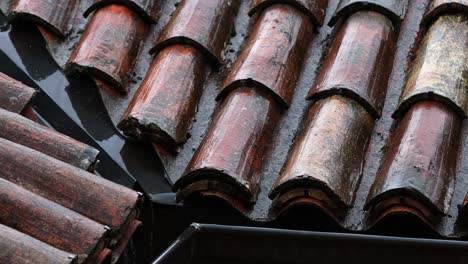 la lluvia, el techo, el azulejo, la casa, las baldosas, viejo, europeo, rojo, patrón, arquitectura, textura, arcilla, construcción, construcción, cerámica, material, terracota, techos,