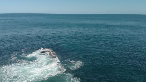 aerial shot moving forward to a fur seal colony off the coastline of australia