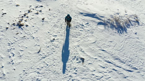 Birdseye-aerial-view-of-a-man-with-snowshoes-and-trekking-poles-walking-on-snow-on-sunny-winter-day,-top-down-drone-shot