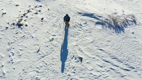 birdseye aerial view of a man with snowshoes and trekking poles walking on snow on sunny winter day, top down drone shot