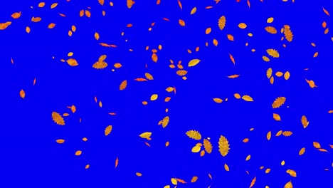 visual effects, vfx, falling autumn leaves on blue screen 3d animation closer view