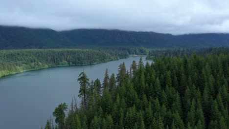 Malerische-Luftaufnahme-über-Dem-Wynoochee-Lake-Im-Olympic-Natl-Forest,-Washington