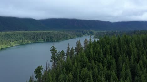 Antena-Escénica-Sobre-El-Lago-Wynoochee-En-El-Bosque-Nacional-Olímpico-De-Washington