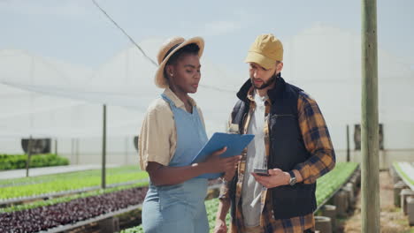 farmers discussing crop inspection in greenhouse