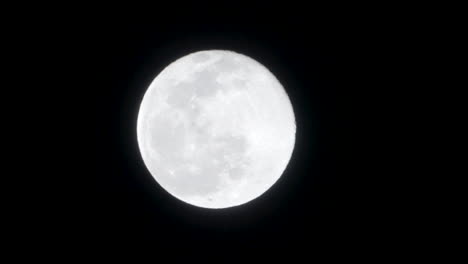 Bright-full-moon-rising-in-the-night-sky--close-up