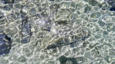 playas limpias con bandera azul de la península de halkidiki, grecia