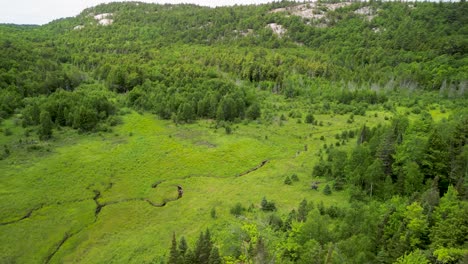 Aerial-view-of-lush-green-meados-with-mountains-in-distance