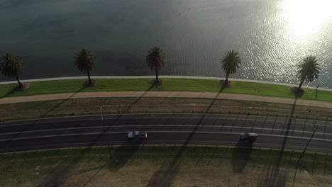 traffic moving through in a single file next to palm trees and peaceful lake side landscape.