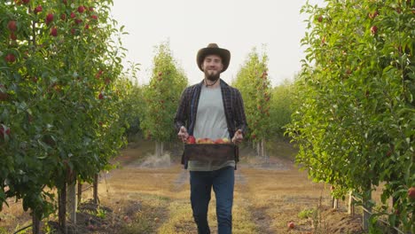 smiling farmer carrying a crate of apples in an orchard