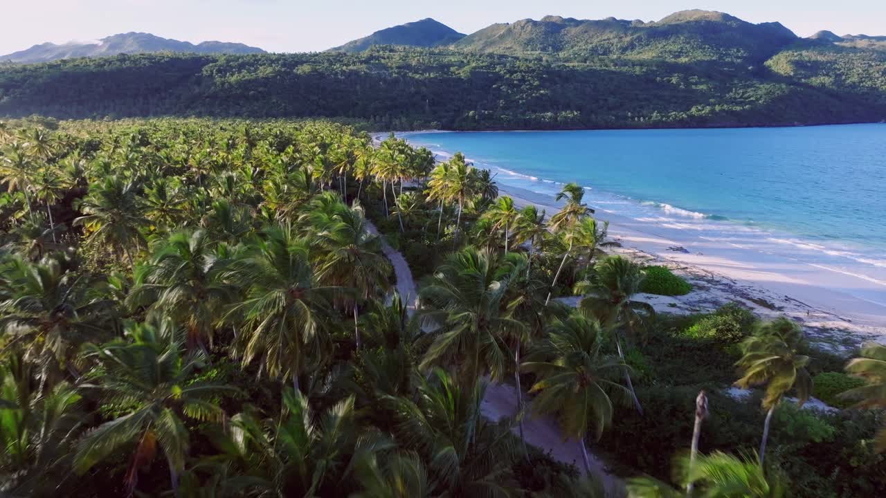 Aerial establishing shot tropical palm trees lighting at sunset time. Sandy beach with Caribbean sea and exotic mountains in distance. Forward wide shot. Tranquil and charming atmosphere in summer.