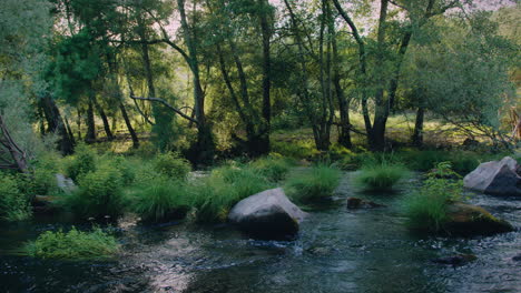 Río-Dao-Hermoso-Bosque-Cámara-Lenta-Pan-Tiro-Largo