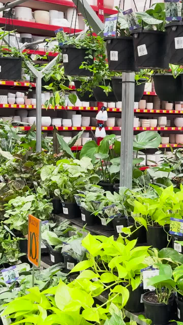 varias plantas y ollas en un pasillo de la tienda
