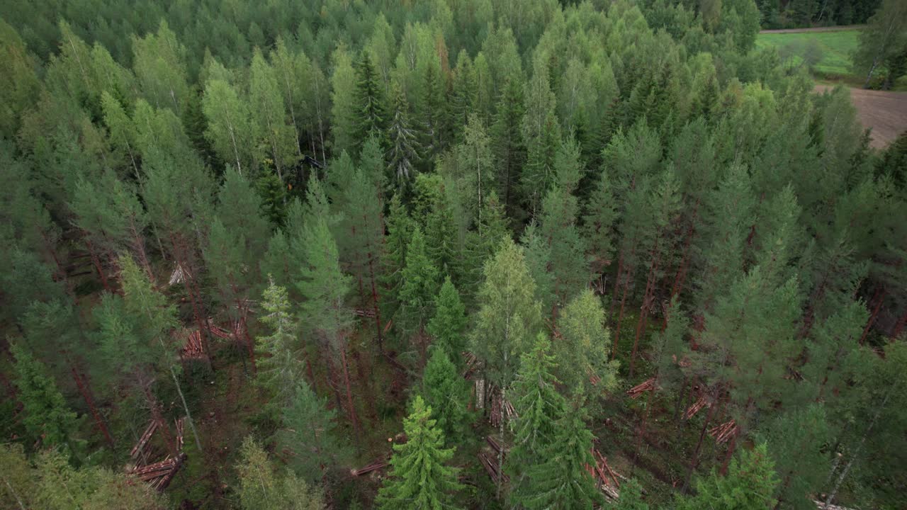 Aerial dolly forward shot of Scandinavian finnish forest and forestry machine Ponsse Scorpion harvester filmed with DJI Air 2s