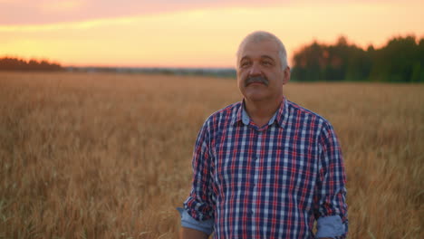 portrait of a senior adult farmer in a field of grain looking at the camera and smiling at sunset. the tractor driver takes off his cap and looks at the camera in slow motion