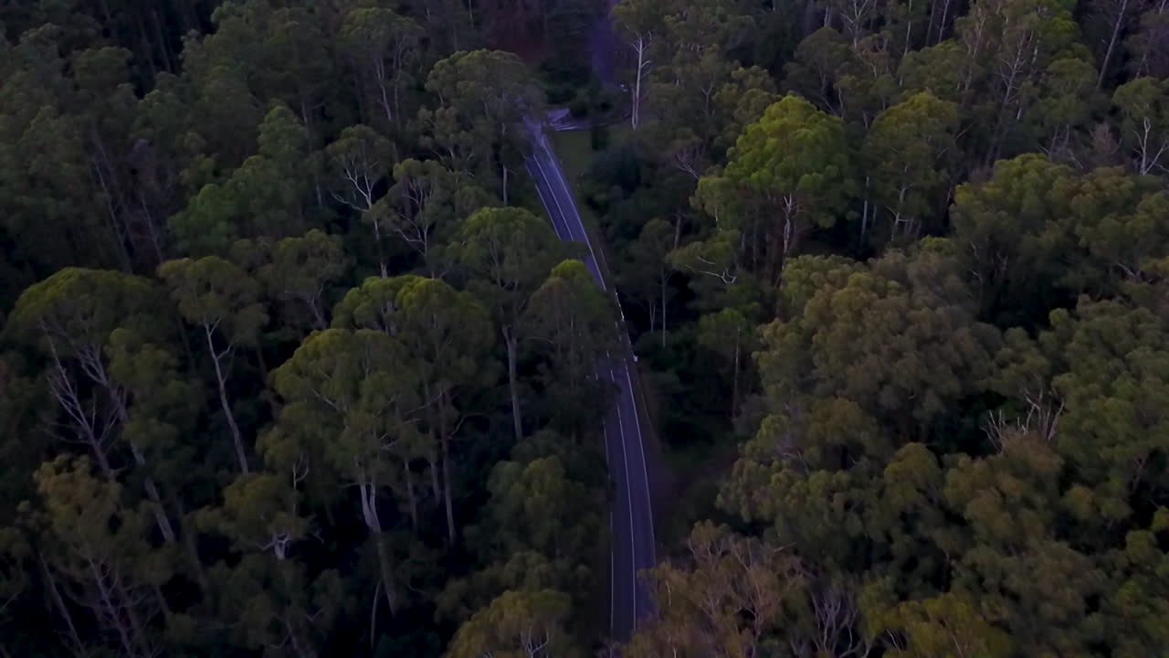 imágenes aéreas que se desplazan hacia delante de una carretera muy transitada a través de un bosque oscuro por la noche