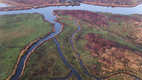 Toma-Aérea-De-Múltiples-Vías-Fluviales-Que-Se-Ramifican-En-Un-Delta-Del-Río-En-Los-Países-Bajos,-Rodeada-Por-El-Colorido-Campo