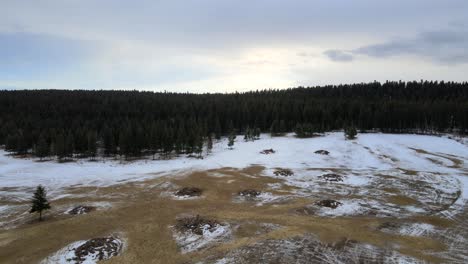 los incendios invernales de la región del cariboo: toma panorámica aérea de montones de quemaduras en un prado en columbia británica, canadá