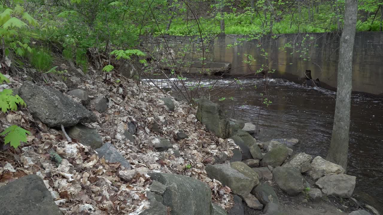 We see a collection of rocks on the slope of the river with a beautifully flowing current. In the background, there is a concrete wall with plenty of greenery.
