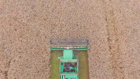 an aerial shot of a combine harvester from above, collecting grain for a field in the uk