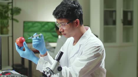 biochemist researcher injecting healthy apple with dna liquid using medical syringe checking genetic test . scientist biologist examining fruits in microbiology farming laboratory