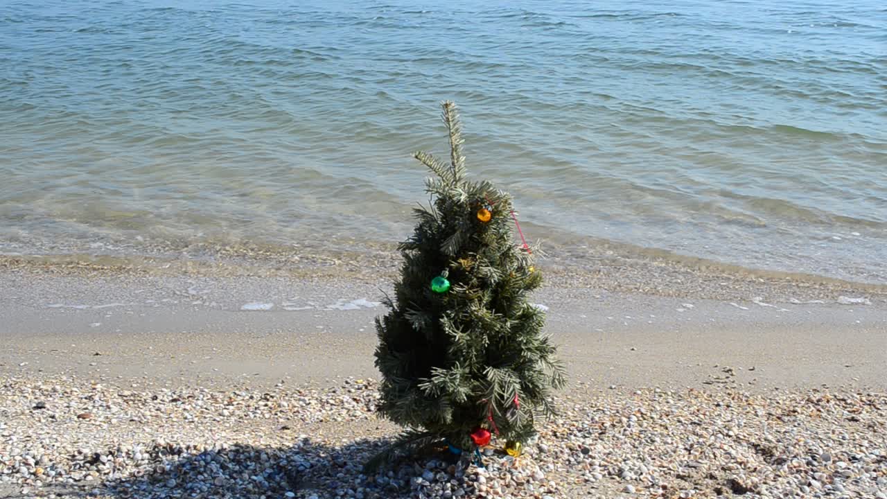 Jule- og nytårsgran på stranden. Optagelse på stranden.