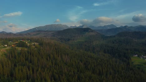 Bosque-Denso-Con-árboles-De-Coníferas-En-Los-Pueblos-De-Montaña-Cerca-De-Zakopane-Cyrhla,-Podhale-Polonia