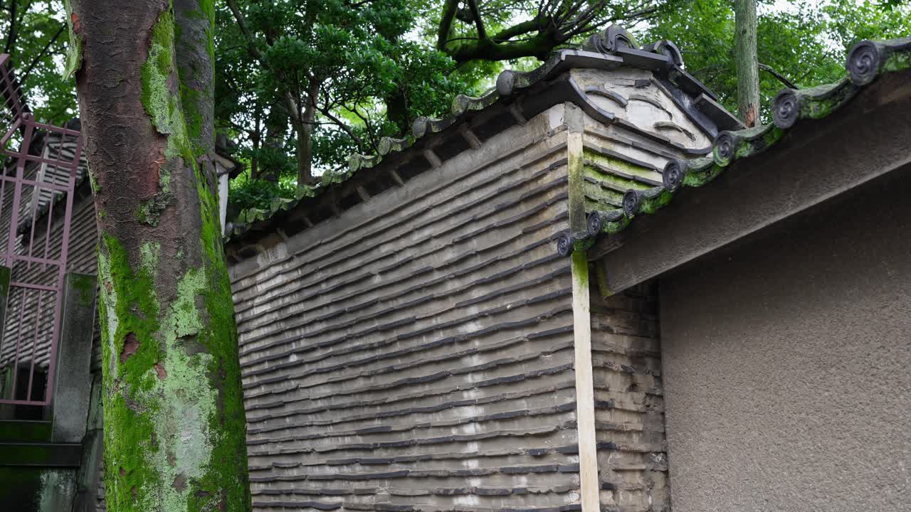 An eye-level shot of a traditional Japanese-style tile wall and the trunk of a moss-covered tree