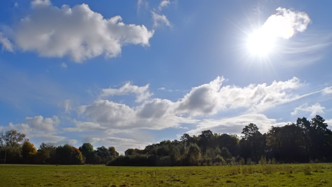 Sunny park with beautiful blue sky C. Fluffy clouds in a beautifully lit natural park scene. No time-lapse. Long clip
