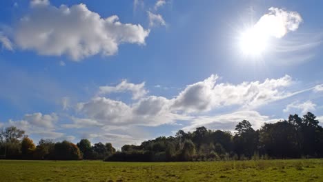 sunny park with beautiful blue sky c. fluffy clouds in a beautifully lit natural park scene. no time-lapse. long clip
