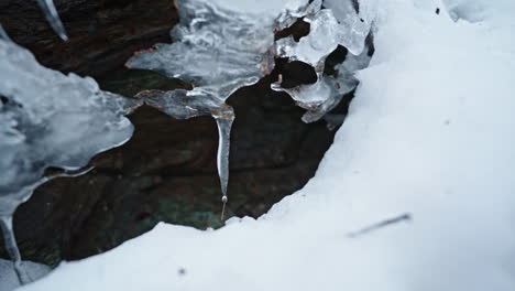 close-up of ice formations and snow on rocks in a wintery landscape