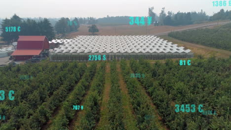 aerial view of greenhouse and orchard with financial data animation overlay