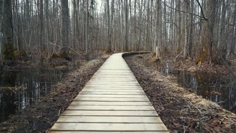 sloka lake wooden boardwalk in swamp tourist trail in the latvia