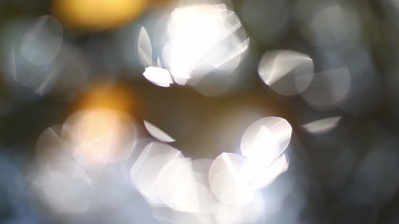 박이는 보케 조명 배경으로 추상적인 흐릿함