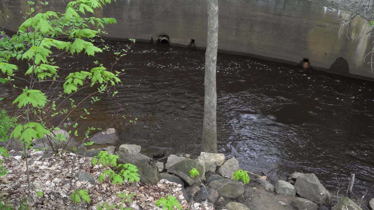 A stream flows calmly along the edge of a continuous concrete wall. In the foreground, several rocks can be seen on the riverbank with some spring vegetation.