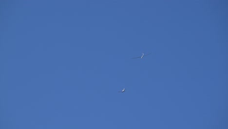 plane towing glider in the skies of lake lucerne in switzerland
