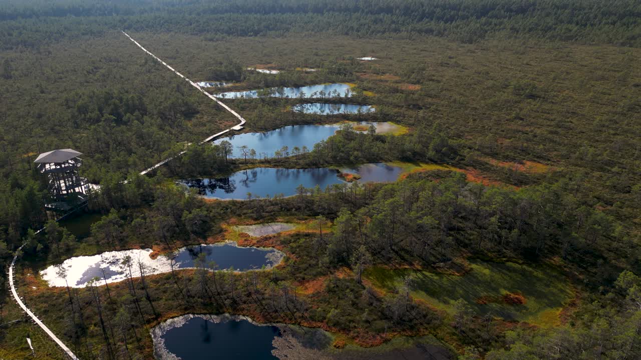 Aerial View of a Beautiful Bog Landscape with Wooden Boardwalk and Observation Tower