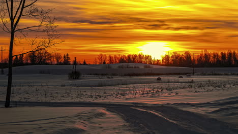 time lapse of snowy landscape during sunrise, trees silhouette in the distance with golden lights