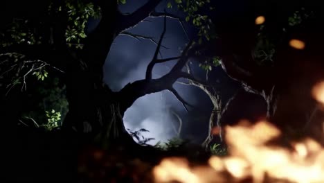 a mysterious transformation from darkness to light: a journey through the forest captured in two intense frames highlighting the contrast of shadows and flames
