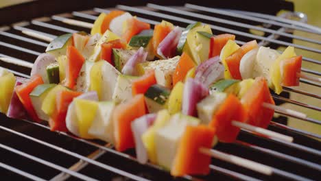 Healthy-colorful-kebabs-with-fresh-vegetables