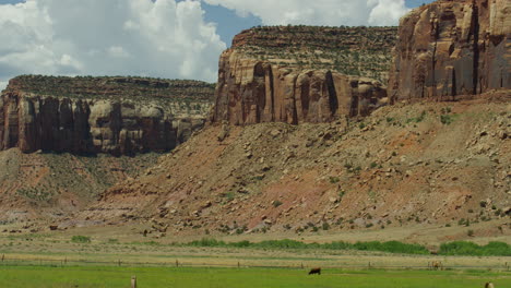 Toma-Amplia-De-Vacas-Pastando-En-Un-Paisaje-Desértico