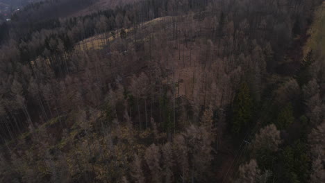 Flying-over-the-landscape-and-forest-under-the-thick-fog-around-during-the-winter-evening