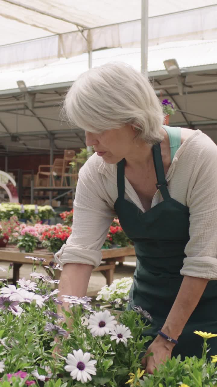 Woman tending to flowers in greenhouse