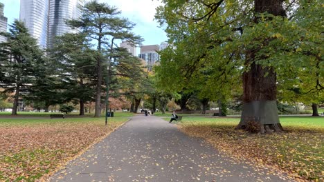 autumn in the city park