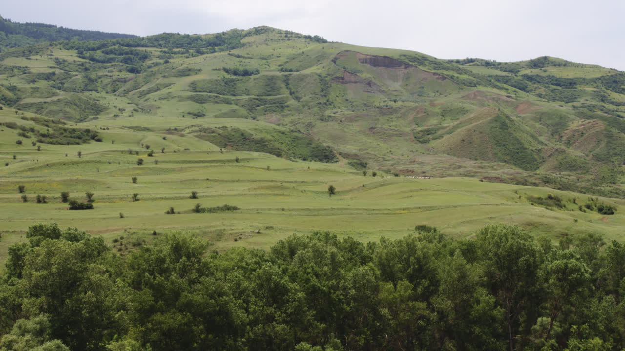 naturaleza virgen no tocada por la especie humana